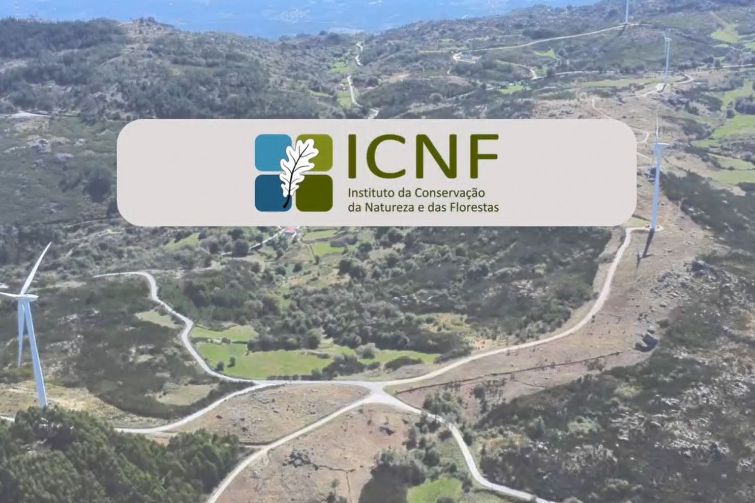 ICNF - Instituto da Conservação da Natureza e das Florestas